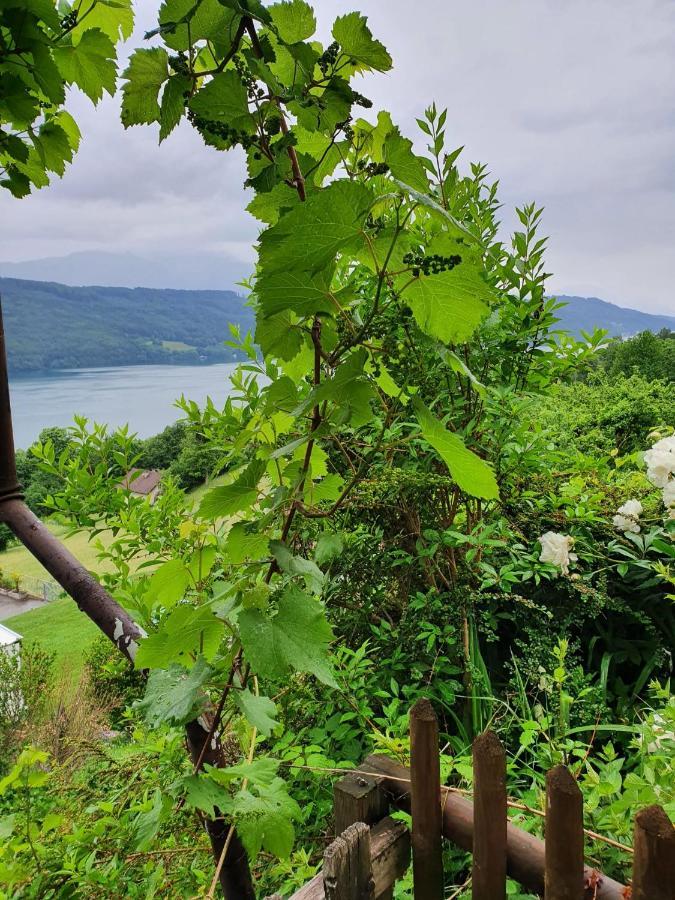 Haus Starfach * Dobriach